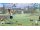 Игра Everybody’s Golf (Спорт) 10223 197 КБ