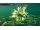 Игра Rapala Fishing for Kinect (Спорт) 7973 79.91 КБ