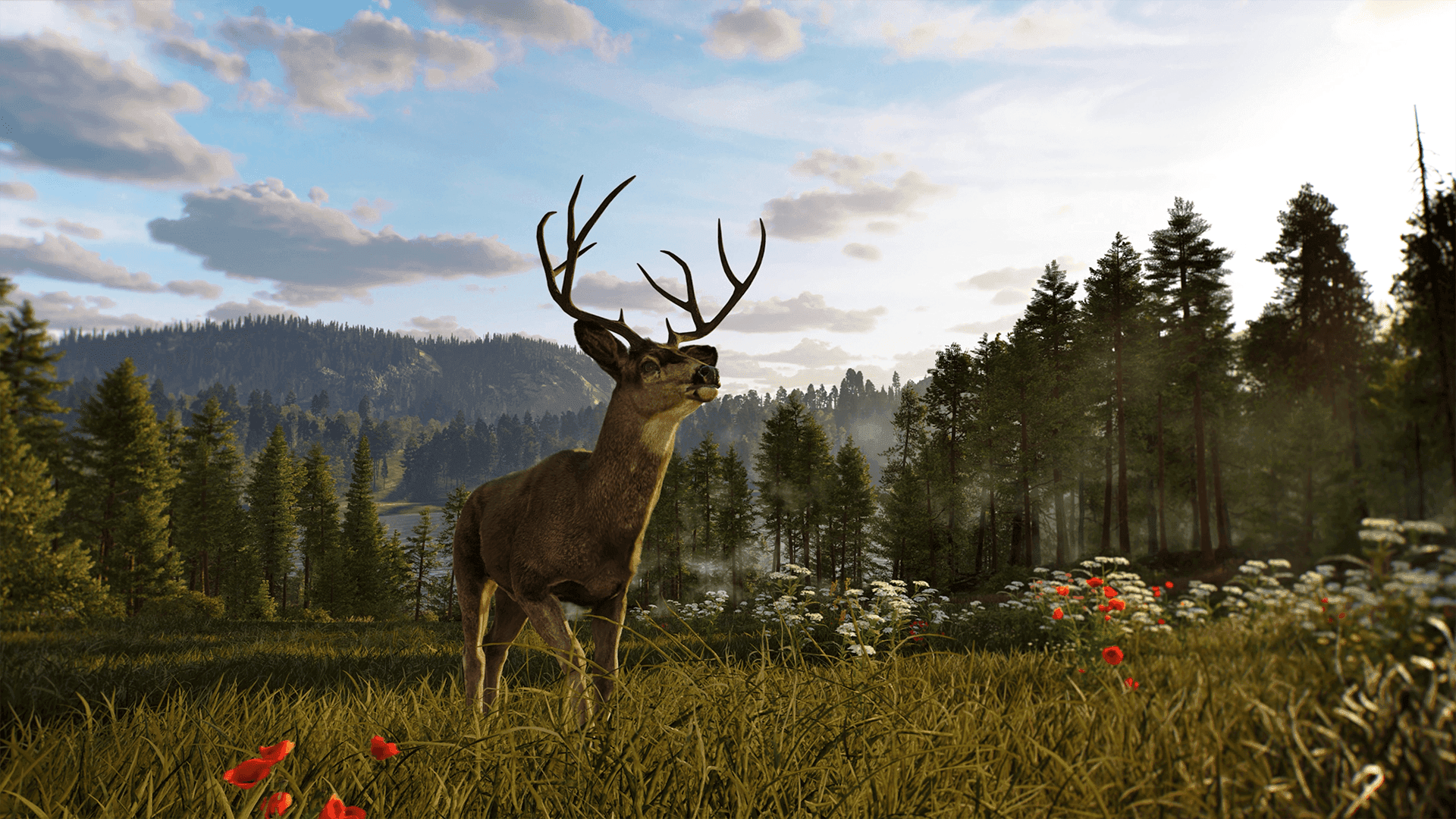 Way of the Hunter 2 [Xbox Series X/S]