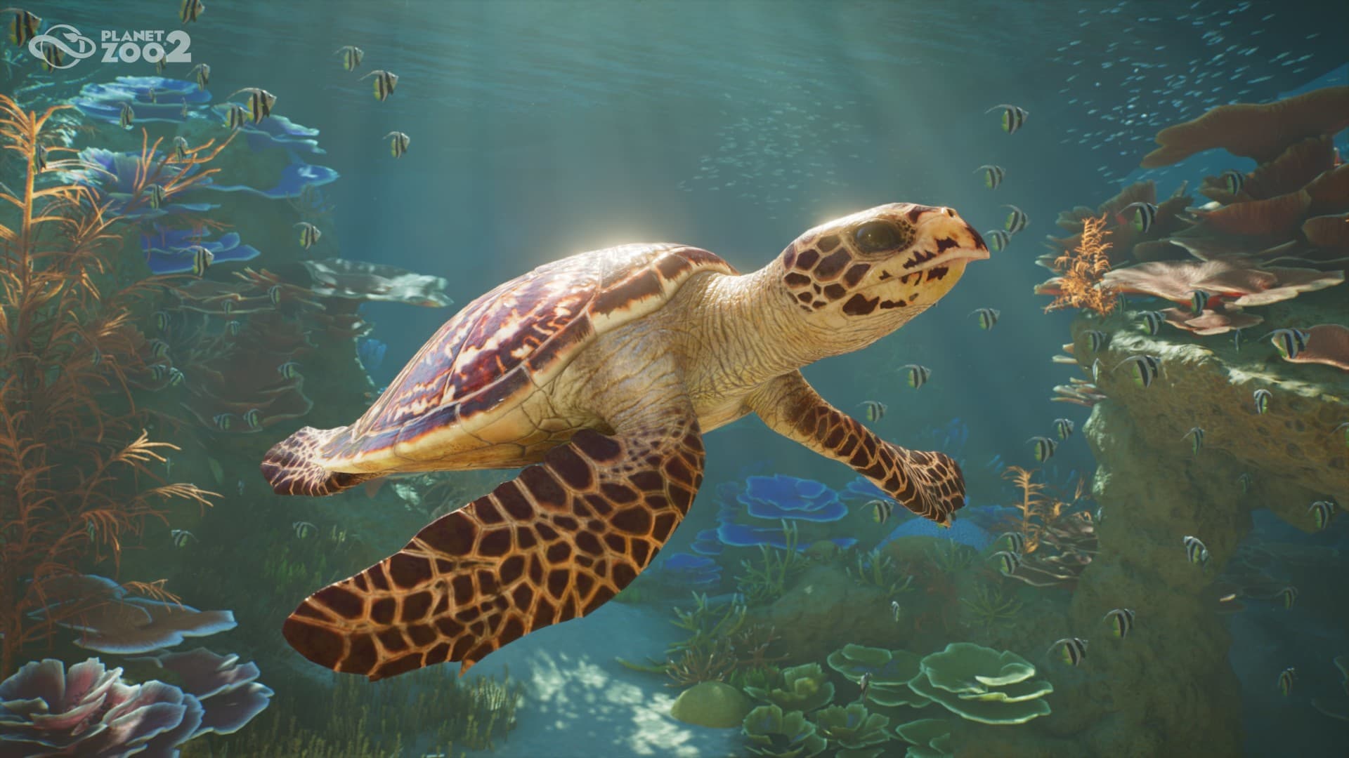 Planet Zoo 2 [PS5]