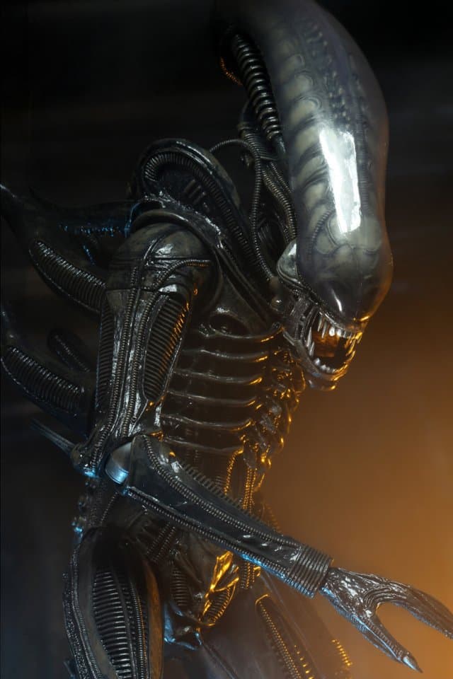 Фото 2