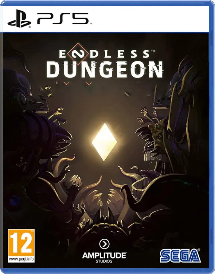Endless Dungeon (Б/У) [PS5]