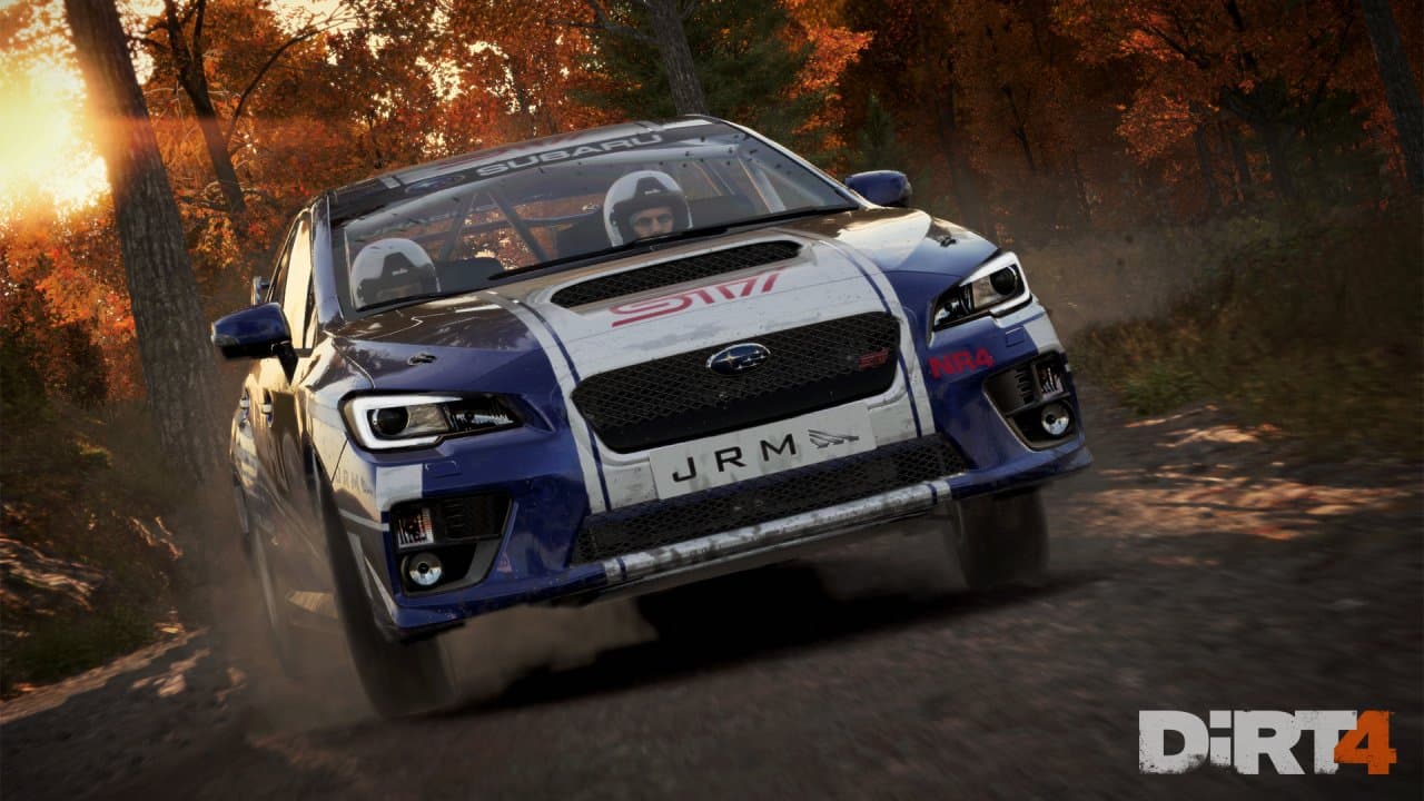 DiRT 4 [PS4]