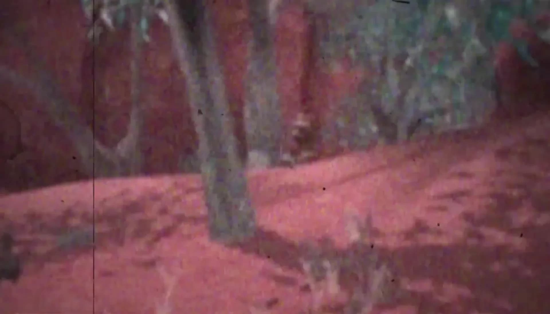 Смотреть видео