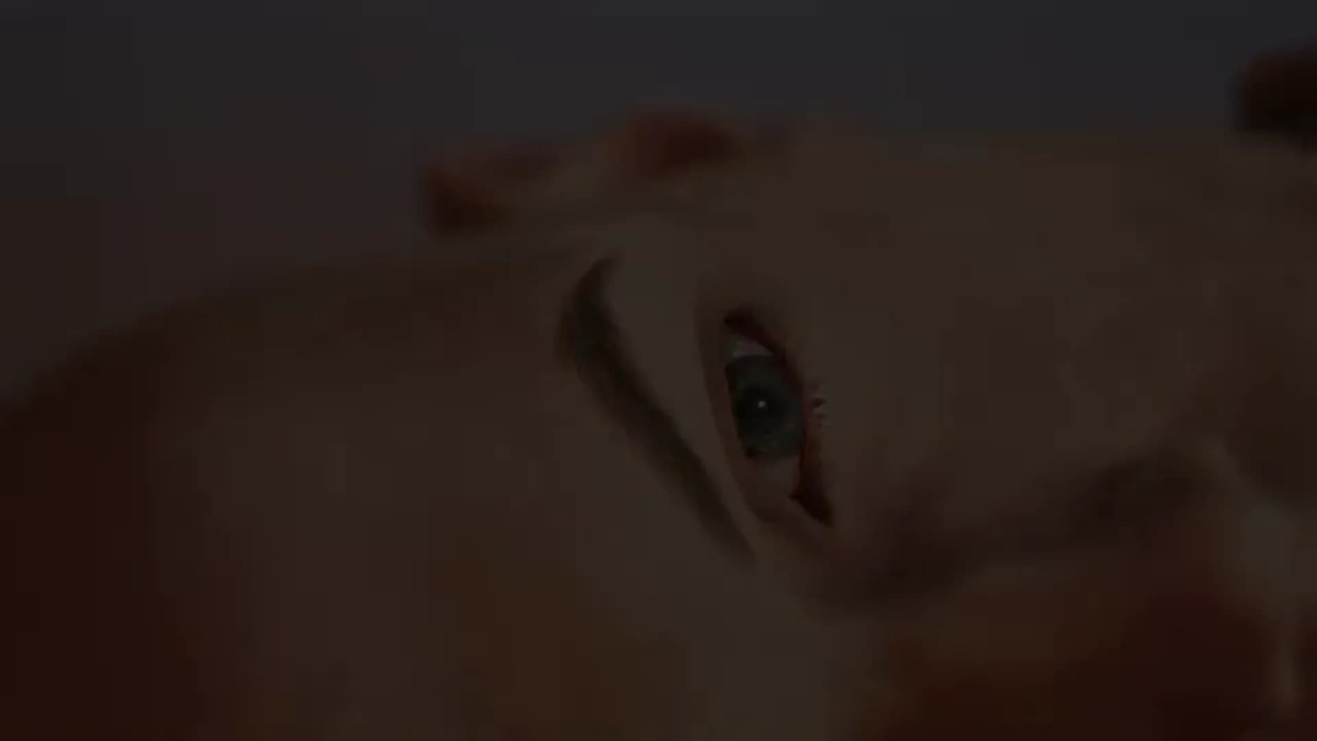 Смотреть видео