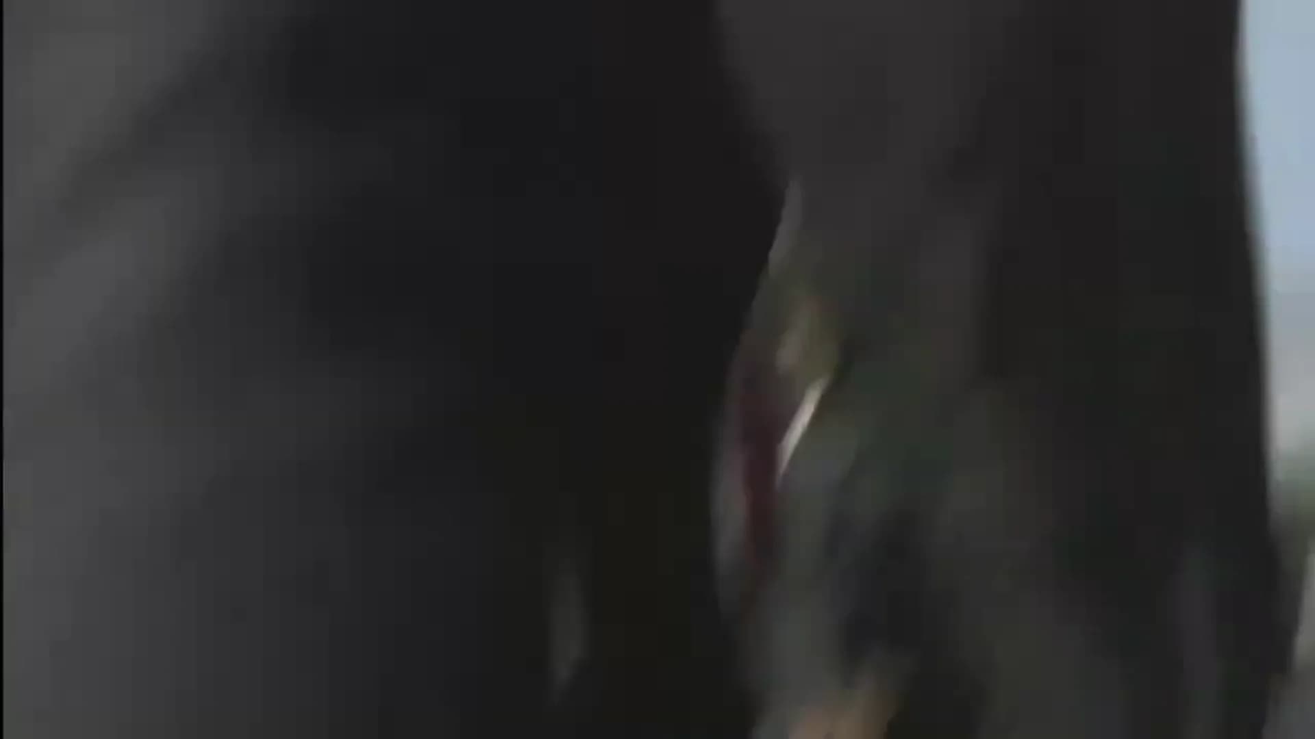 Смотреть видео
