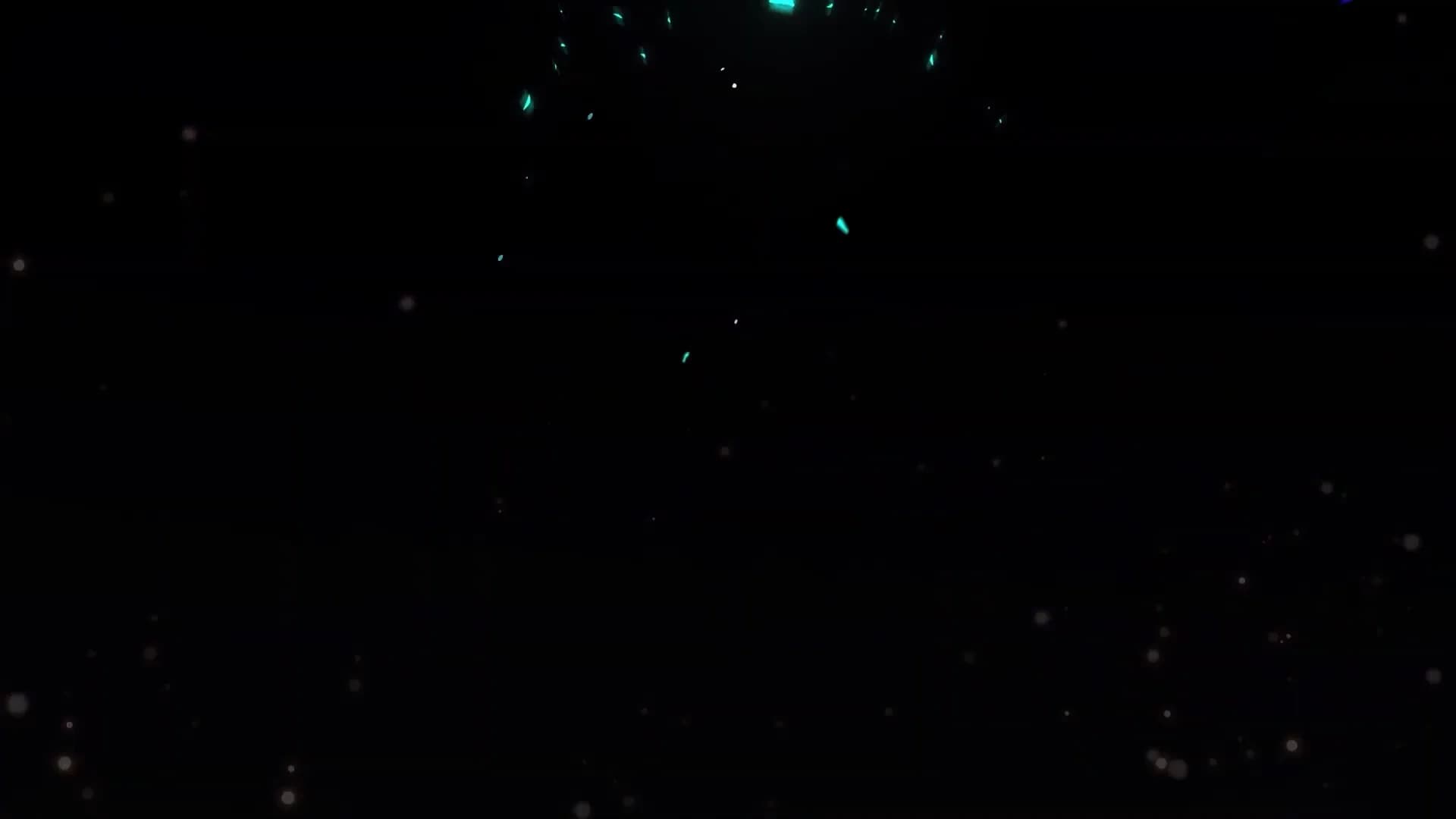 Смотреть видео
