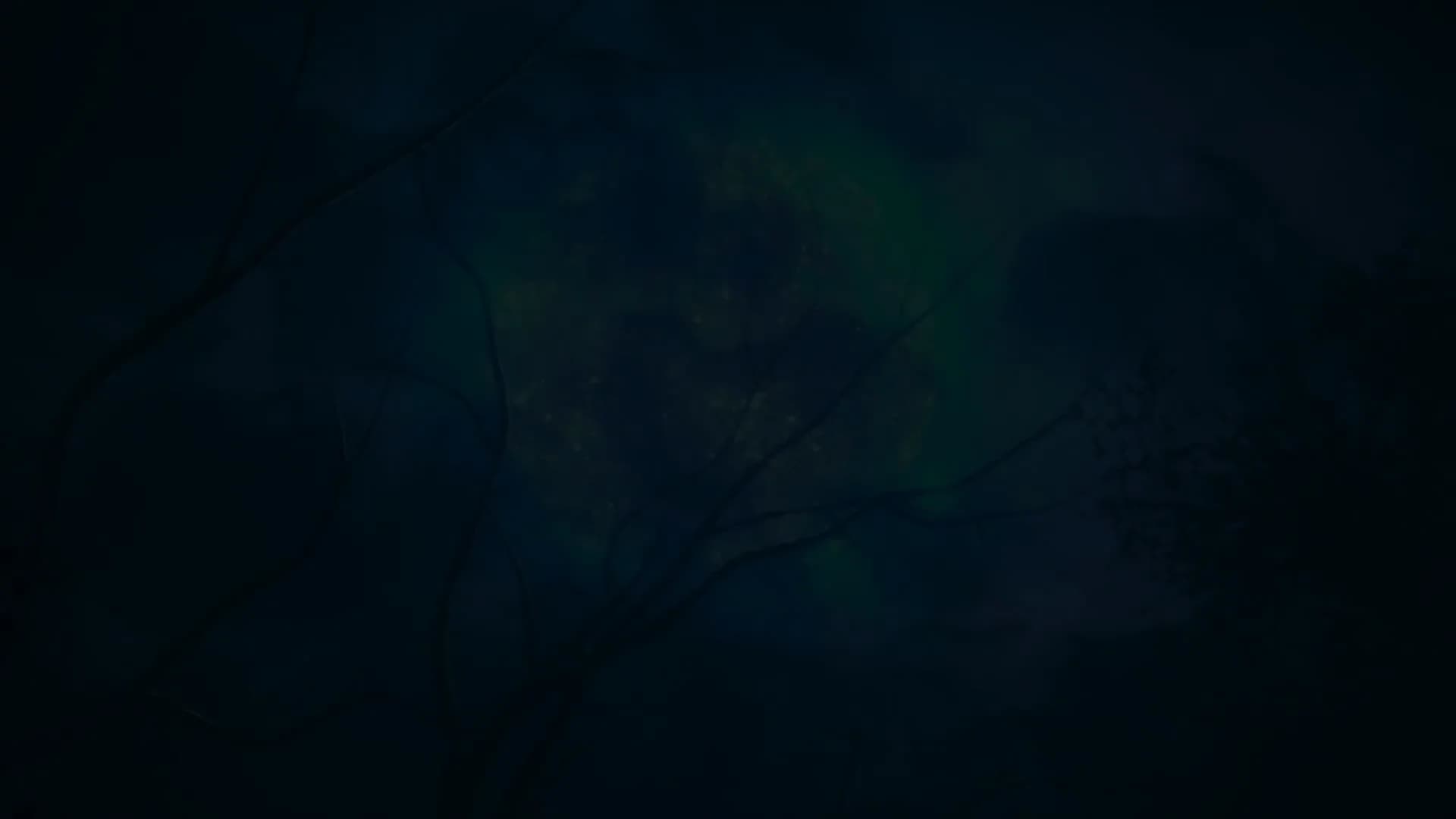 Смотреть видео