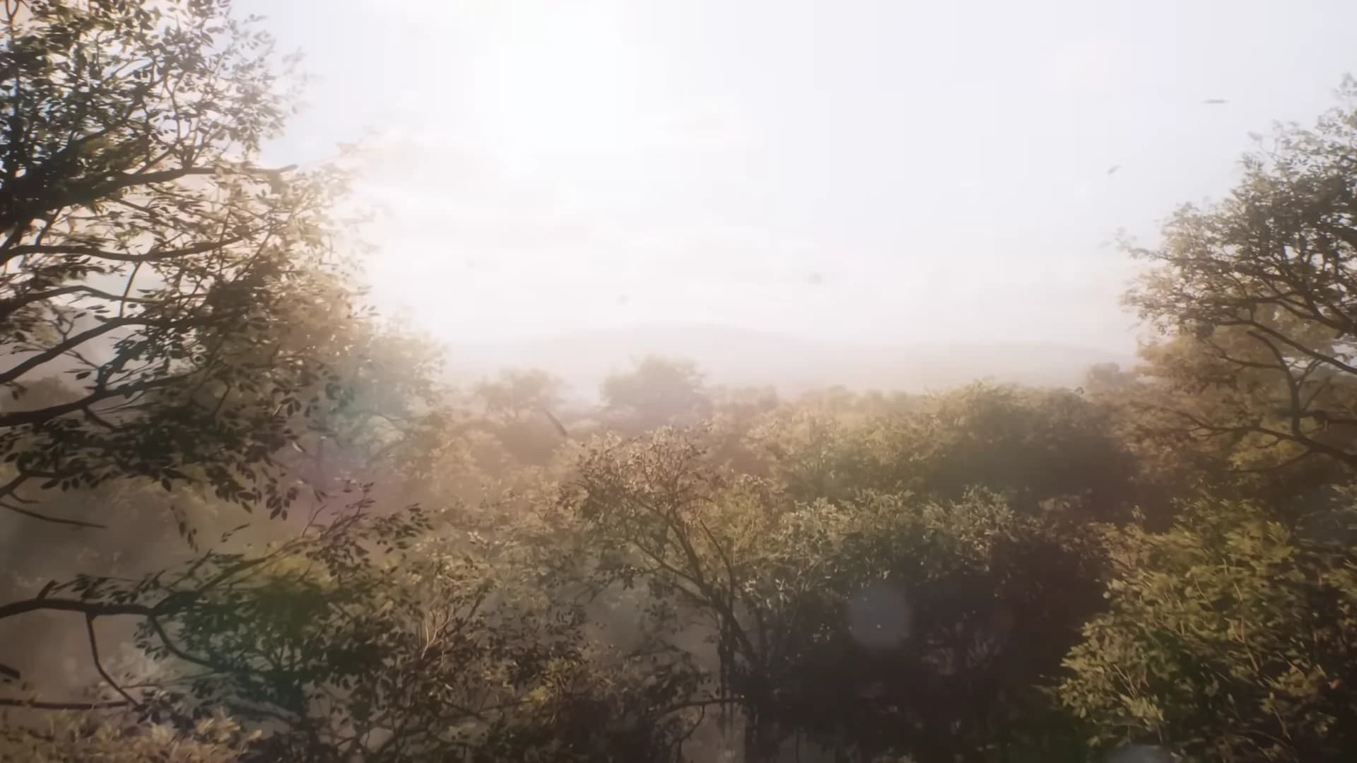 Смотреть видео