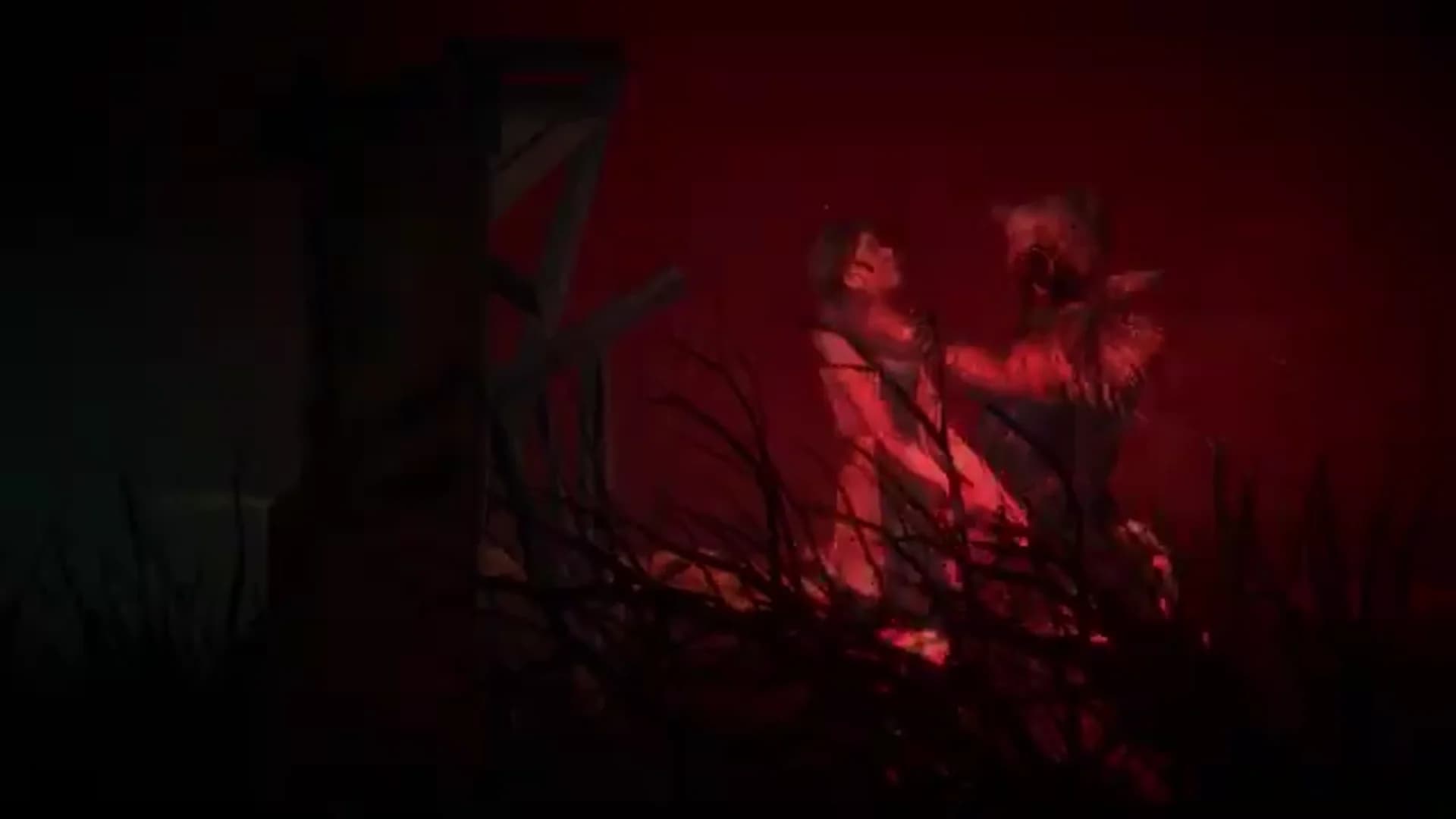 Смотреть видео