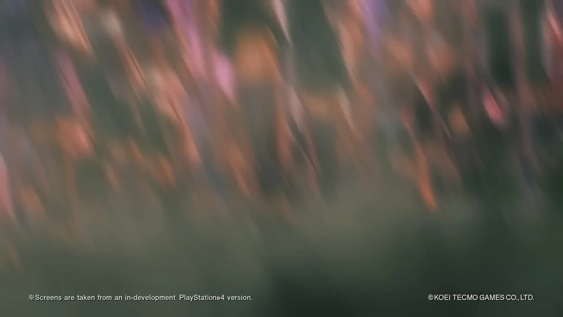 Смотреть видео 1