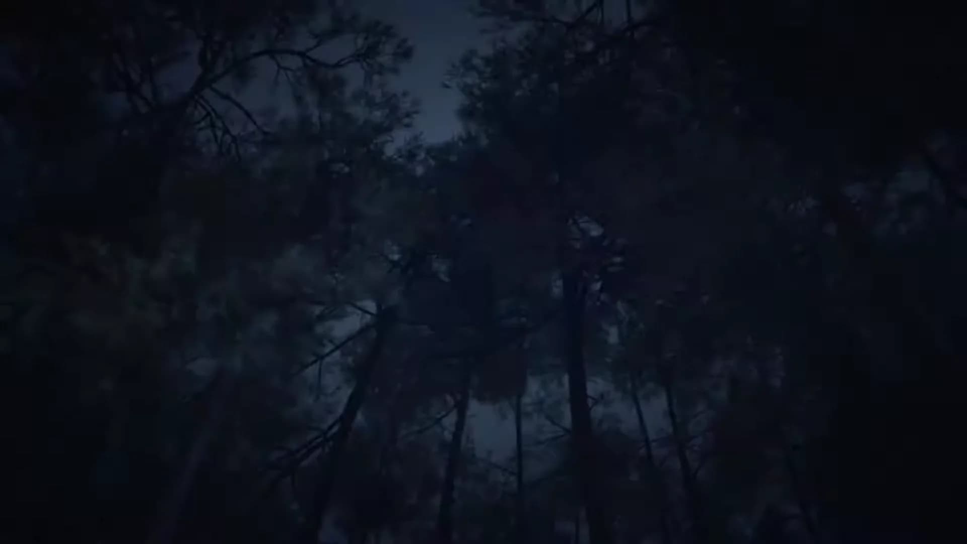 Смотреть видео