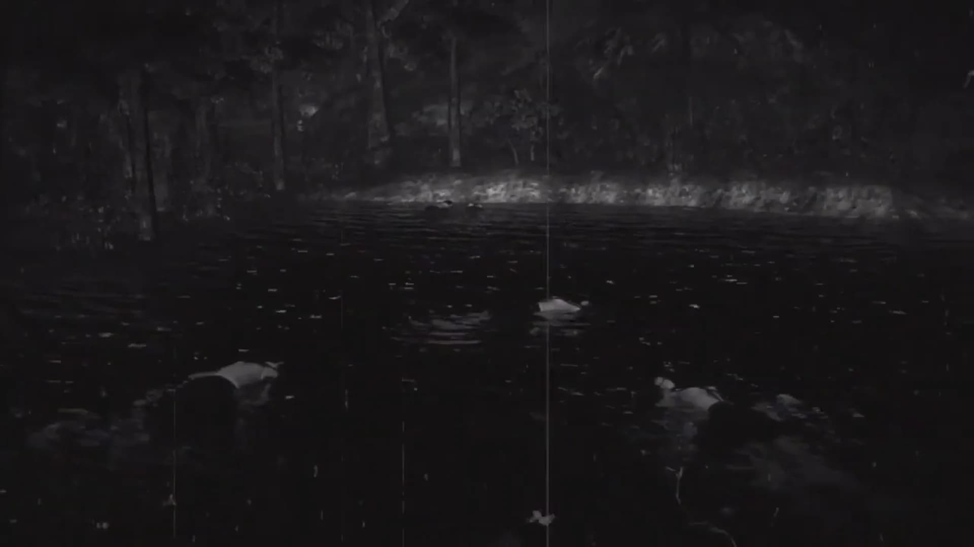 Смотреть видео 2
