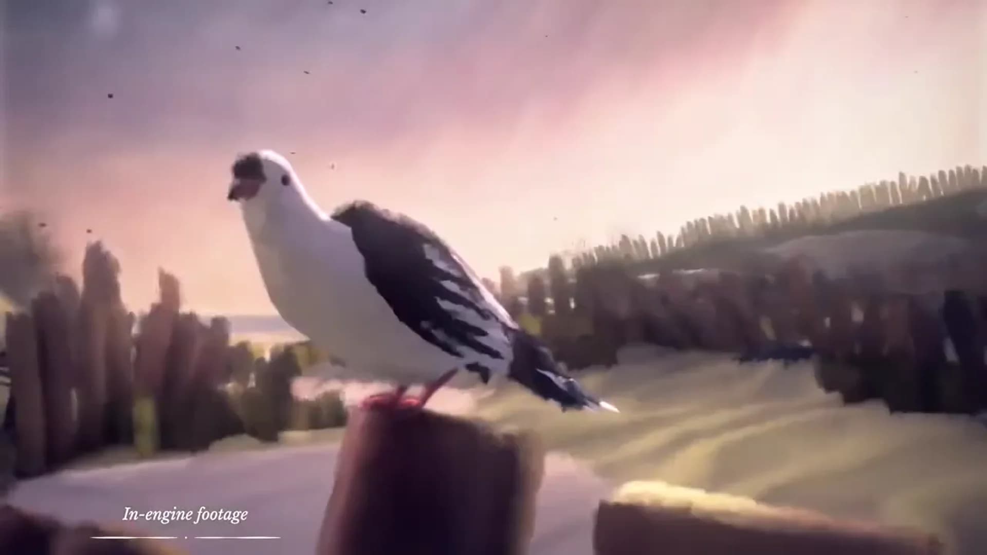 Смотреть видео 1