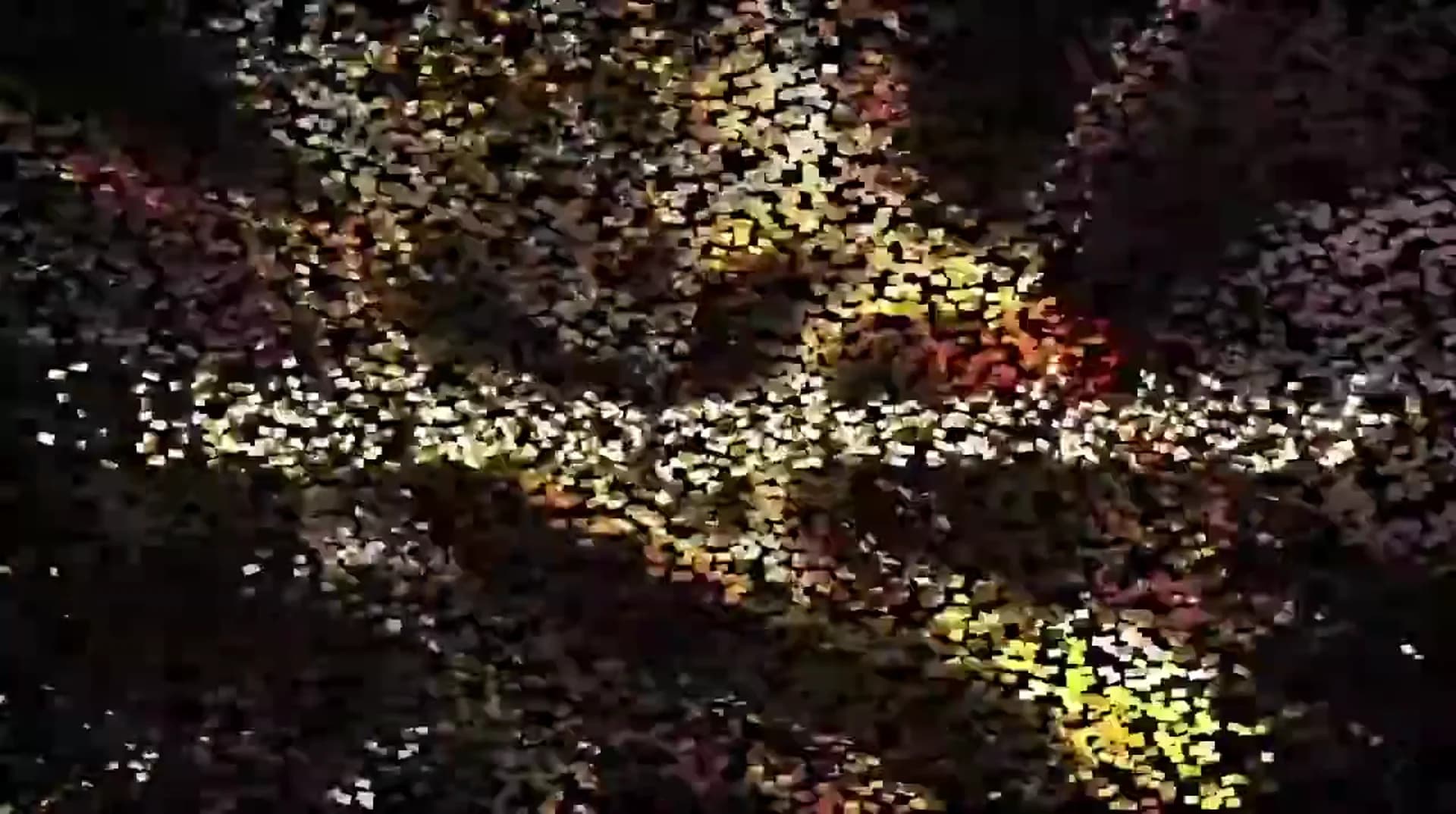Смотреть видео