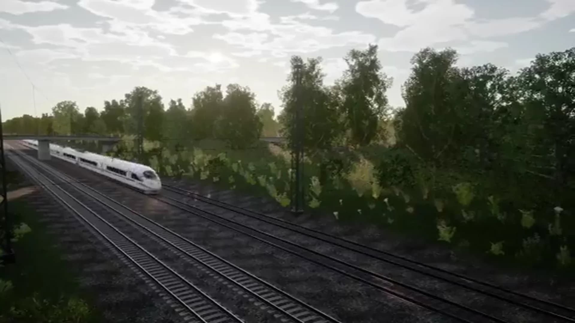 Смотреть видео 1