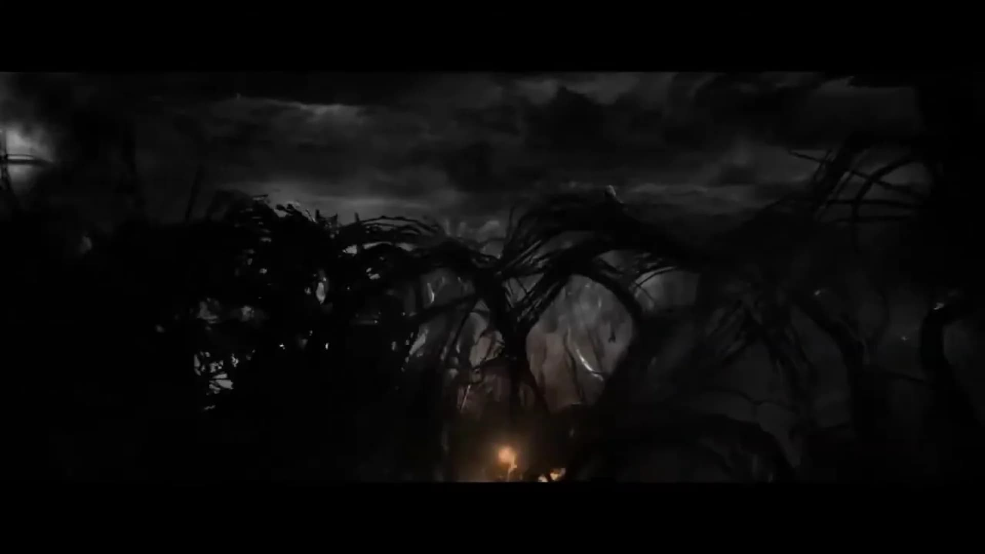 Смотреть видео 2
