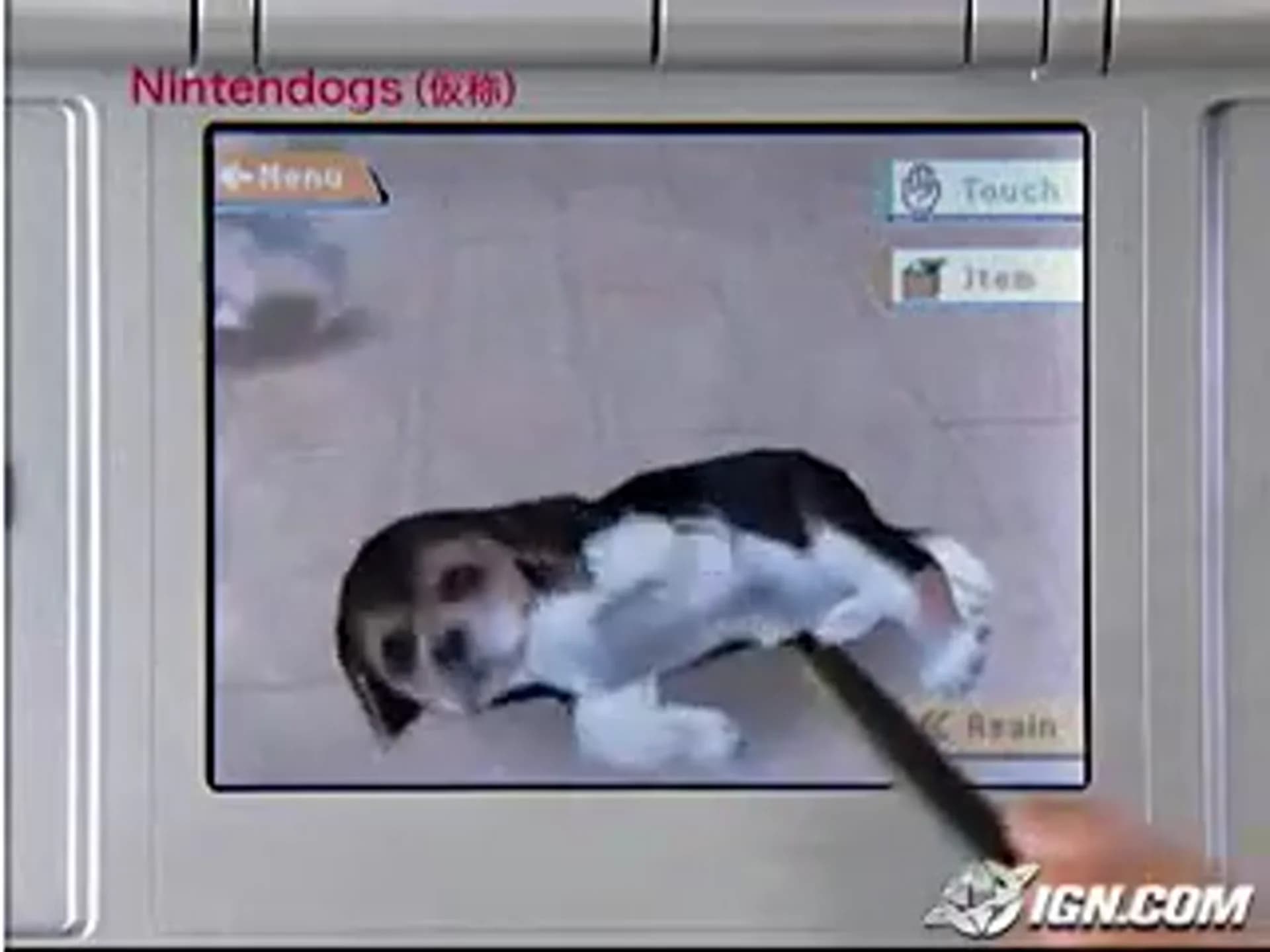 Смотреть видео