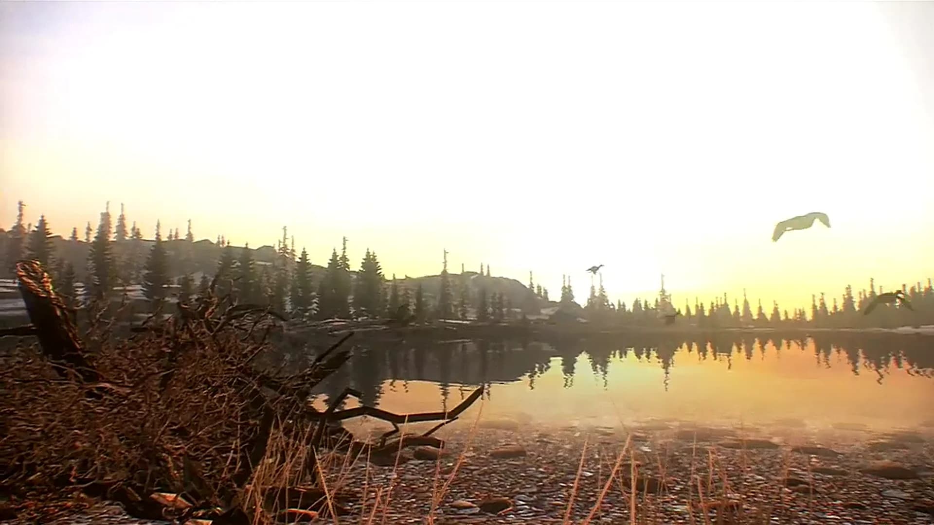 Смотреть видео