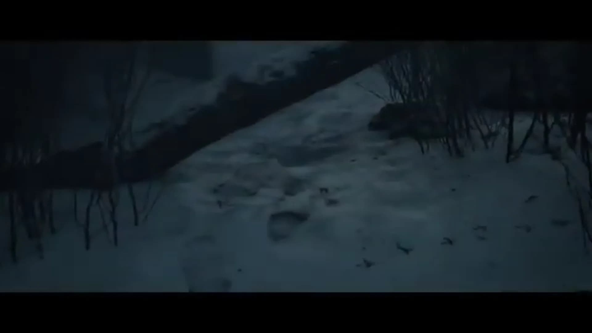 Смотреть видео 1