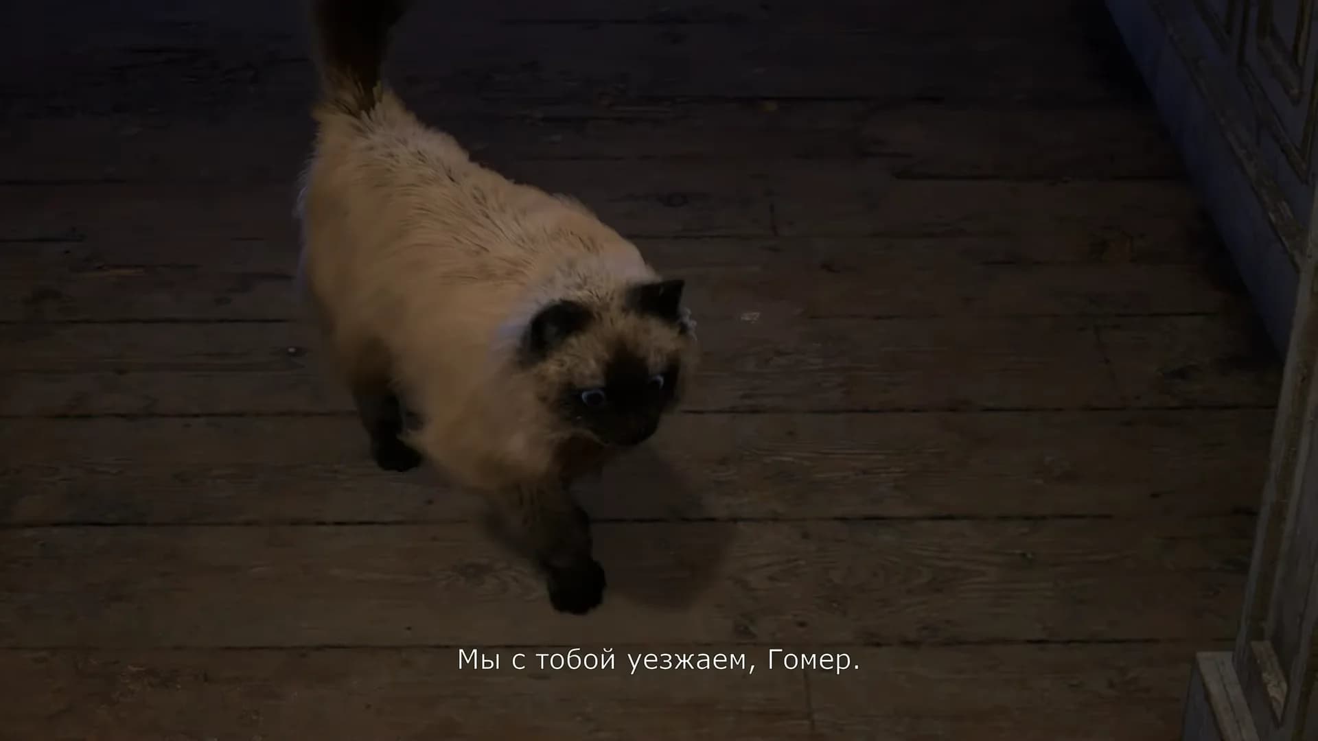 Смотреть видео