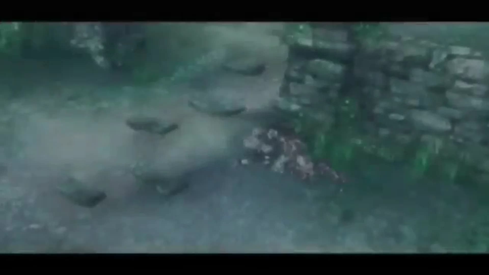 Смотреть видео