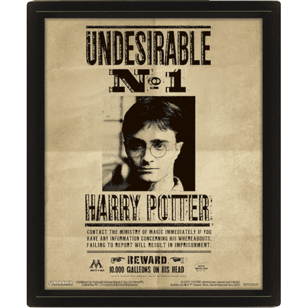 Постер лентикулярный Harry Potter (Potter / Sirius)