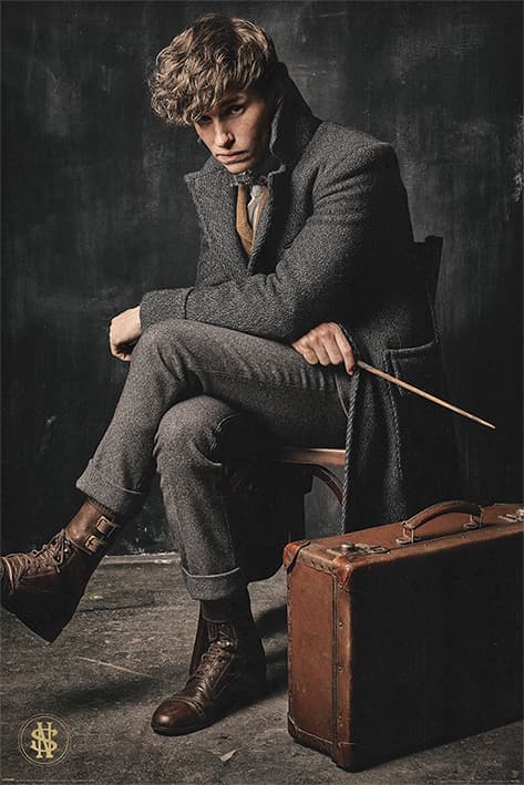 Постер Pyramid Maxi Poster: Fantastic Beasts The Crimes Of Grindelwald (Newt Scamander)