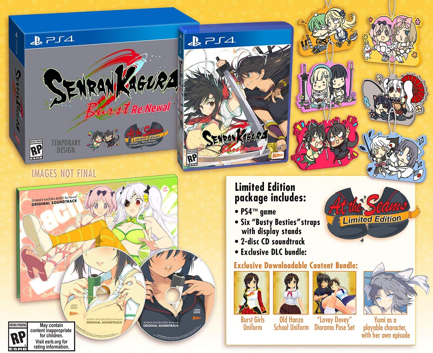 Senran Kagura Burst Re Newal At the Seams Edition [PS4]