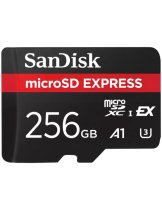 Аксессуар Карта памяти SanDisk microSD Express Card 256GB