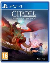 Диск Citadel: Forged with Fire [PS4]