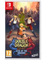 Диск Double Dragon Gaiden: Rise of the Dragons [Switch]