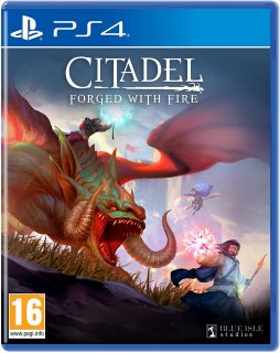 Диск Citadel: Forged with Fire [PS4]