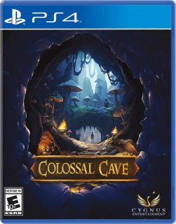 Диск Colossal Cave (Limited Run) [PS4]