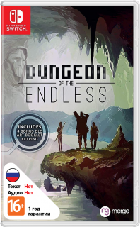 Диск Dungeon of the Endless [NSwitch]