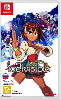 Диск Indivisible (Б/У) [NSwitch]