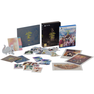 Диск Last Time I Saw You - Collector's Edition [PS5]