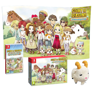 Диск Story of Seasons: A Wonderful Life - Premium Edition [NSwitch]