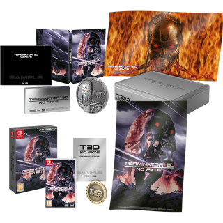 Диск Terminator 2D NO FATE - Collector's Edition [NSwitch]
