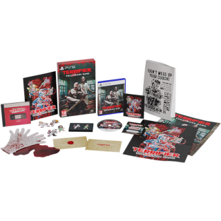 Диск Terrifier: The ARTcade Game - Collector's Edition [NSwitch]