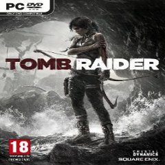 Диск Tomb Raider [PC] (только ключ)