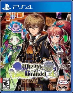 Диск Wizards of Brandel (Limited Run #401) [PS4]