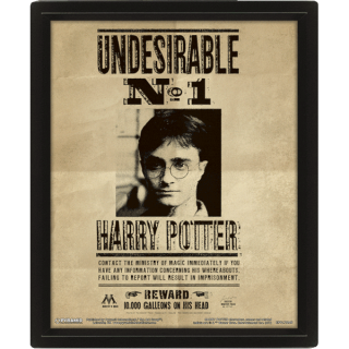 Диск Постер лентикулярный Harry Potter (Potter / Sirius)