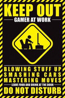 Диск Постер Pyramid Maxi Poster: Gamer At Work