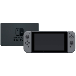 Диск Nintendo Switch (HAC-001), серый (Б/У)