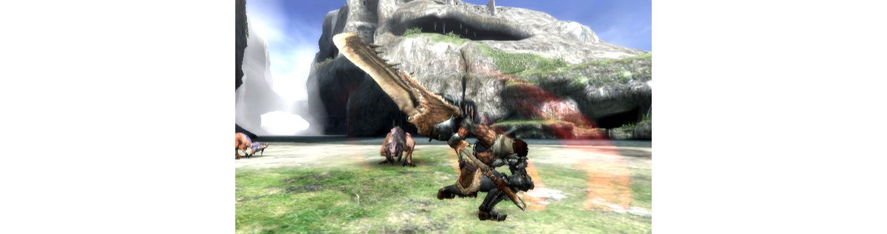 Скриншот игры Monster Hunter Tri для Wii