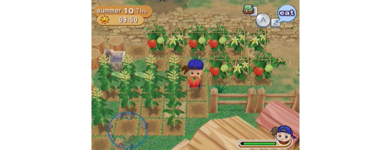 Скриншот игры Harvest Moon: Magical Melody (Б/У) для Wii