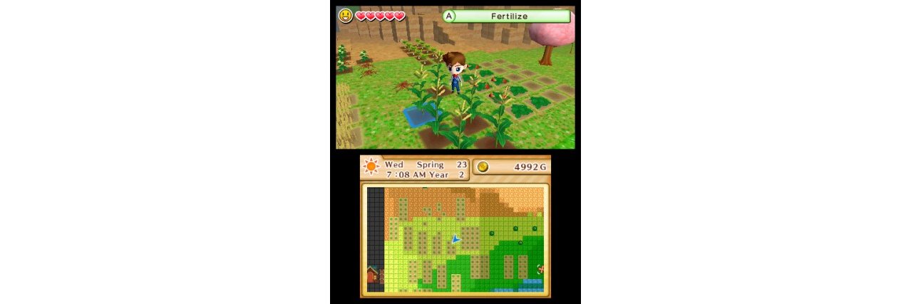 Скриншот игры Harvest Moon: The Lost Valley (Б/У) для 3DS