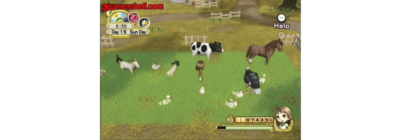 Скриншот игры Harvest Moon: Tree of Tranquility для Wii