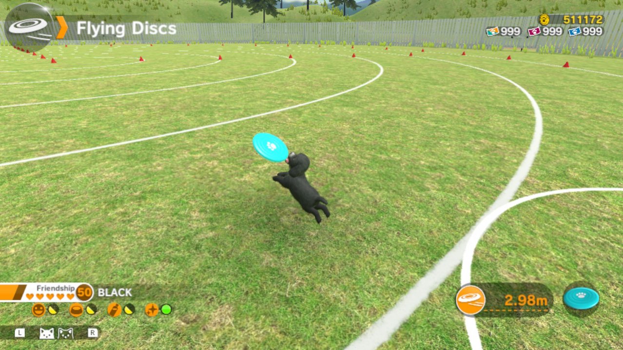 Скриншот игры Little Frends: Dogs & Cats для Switch